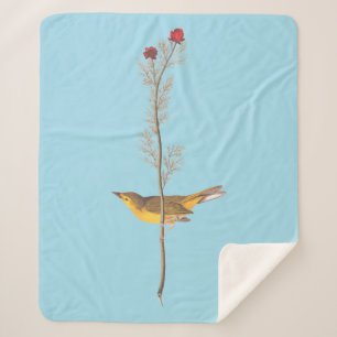 Audubons Hooded Warbler Bird auf der Roten Blume Sherpadecke