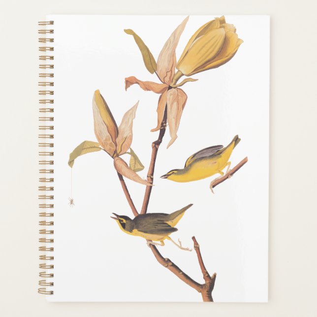 Audubons Kentucky-Warbler-Vogelparadies mit einer  Planer (Vorderseite)