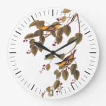 Audubons kohlensäurehaltiger Warbler-Vogel auf Die