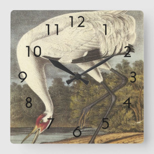 Audubons Kranich Quadratische Wanduhr
