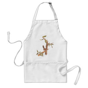 Audubons lang gezogener Wren-Vogel auf Baum Schürze