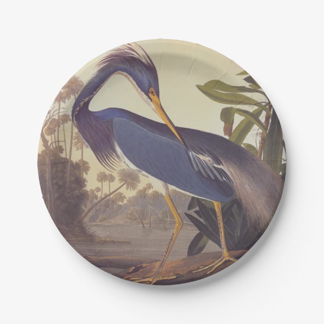 Audubon's Louisiana Heron oder Trikolore Heron Pappteller (Vorderseite)