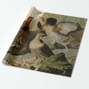 Audubons Malerei eines Trios Ruffed Waldhuhns Geschenkpapier