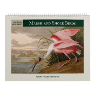 Audubon's Marsh and Shore Birds 2024 Kalender