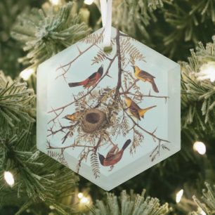 Audubons Orchard Oriole Birds in einer Honey Locus Ornament Aus Glas
