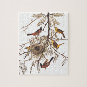 Audubons Orchard Oriole Birds in Honey Locust Puzzle