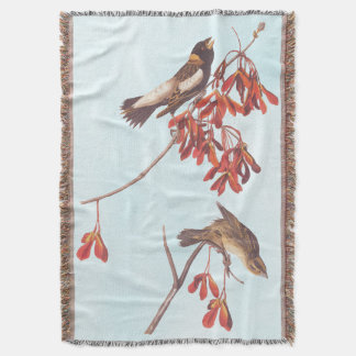 Audubon's Rice Bunting Birds oder Bobolink Birds Decke