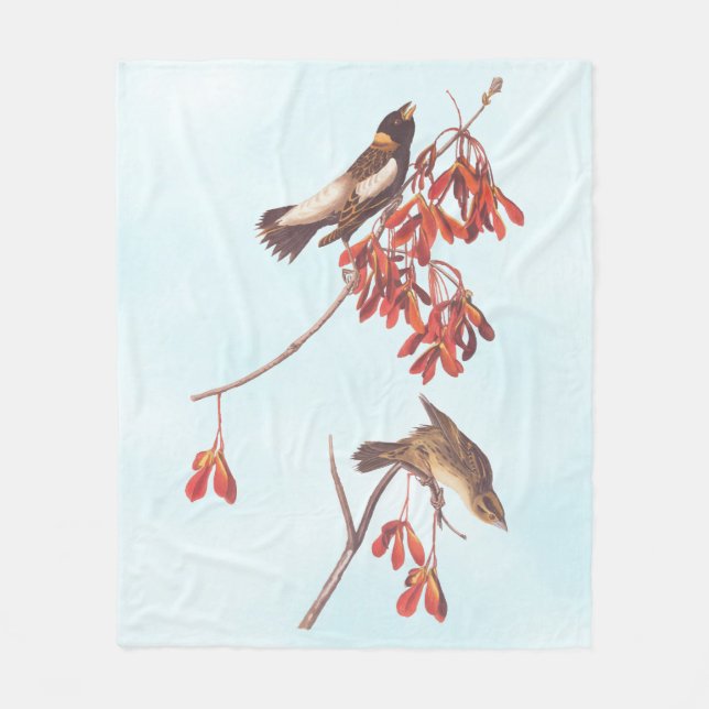 Audubon's Rice Bunting Birds oder Bobolink Birds Fleecedecke (Vorderseite)