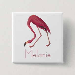 Audubons rosa Flamingo Vintage Vögel Amerikas Button