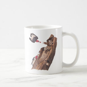 Audubons Rotkopfspechte Tasse