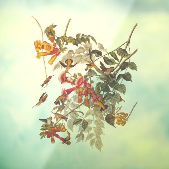 Audubon's Ruby Throated Hummingbirds and Blume Fensteraufkleber (Blatt 3)