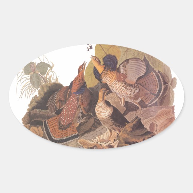 Audubon's Ruffed Grouse Ovaler Aufkleber (Vorderseite)