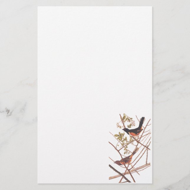Audubon's Towee Bunting Briefpapier (Vorderseite)