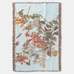 Audubons tropische Ruby-Throated Hummingbirds Decke