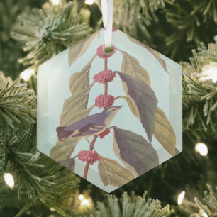 Audubons Vintager blaugrüner Warbler Song Bird Thr Ornament Aus Glas