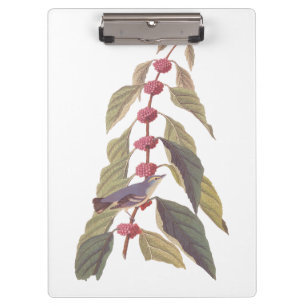 Audubons Vintager blaugrüner Warbler-Song-Vogel Klemmbrett