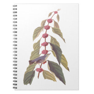 Audubons Vintager blaugrüner Warbler-Song-Vogel Notizblock