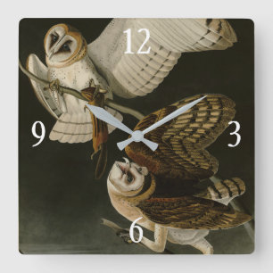 Audubons Vögel von Amerika (Tyto alba) Quadratische Wanduhr