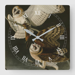 Audubons Vögel von Amerika (Tyto alba) Quadratische Wanduhr