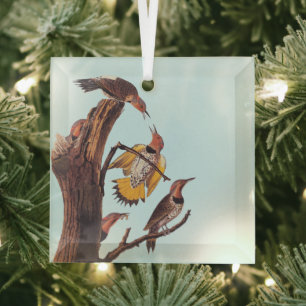 Audubons Vogelfamilie Golden-Winged Woodpecker Ornament Aus Glas
