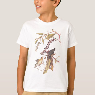 Audubon's Wurm Eating Warbler T-Shirt
