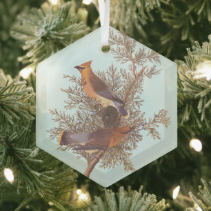 Audubons Zeder-Waxwing-Vogelparade auf dem Evergre Ornament Aus Glas