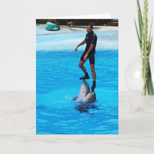 auf Delphinen stehend Feiertagskarte (Vorderseite)