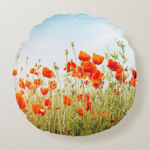 Auf dem Feld nahe Pappchen. Wilde Blume im Frühlin Rundes Kissen