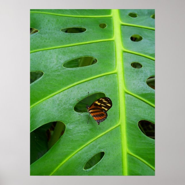 Auf dem Feld Poster (Vorne)