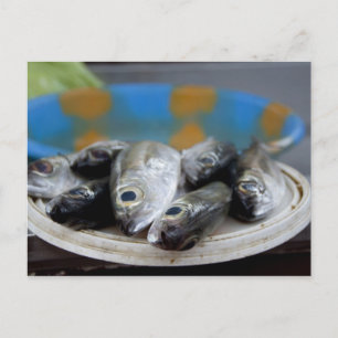 auf dem Fischmarkt Mercado de Peixe) Postkarte