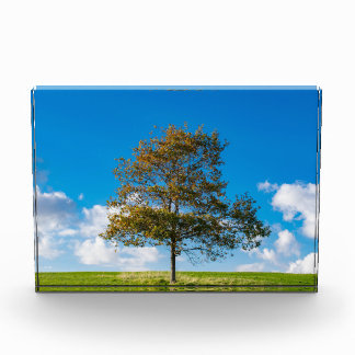 Auf dem Gipfel der Welt Fotoblock