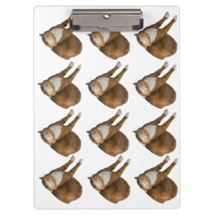 Auf-dem-Kopf-Sonnenkatze Klemmbrett