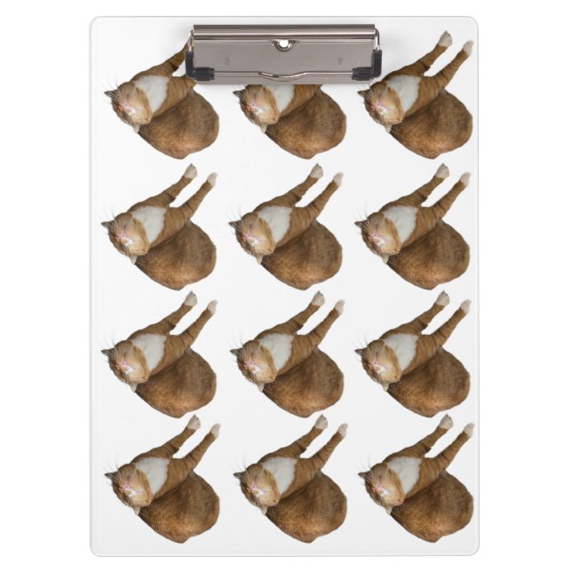 Auf-dem-Kopf-Sonnenkatze Klemmbrett (Vorderseite)