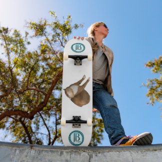 Auf-dem-Kopf-Sonnenlicht-Katze Skateboard