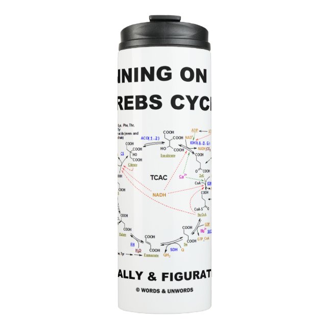 Auf dem Krebs Cycle Biochemistry Geek Spaß laufen Thermosbecher (Vorderseite)
