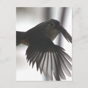 Auf dem Spiel Postkarte