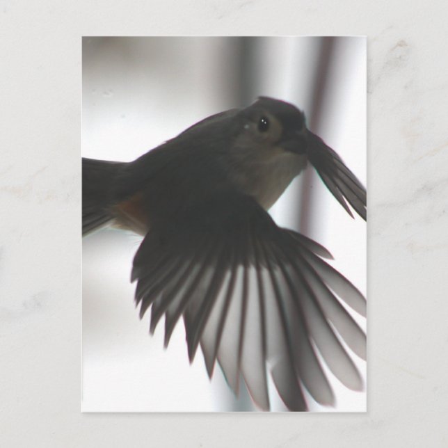 Auf dem Spiel Postkarte (Vorderseite)