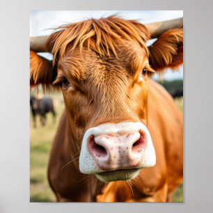 Auf dem Viehranch-Rind Poster
