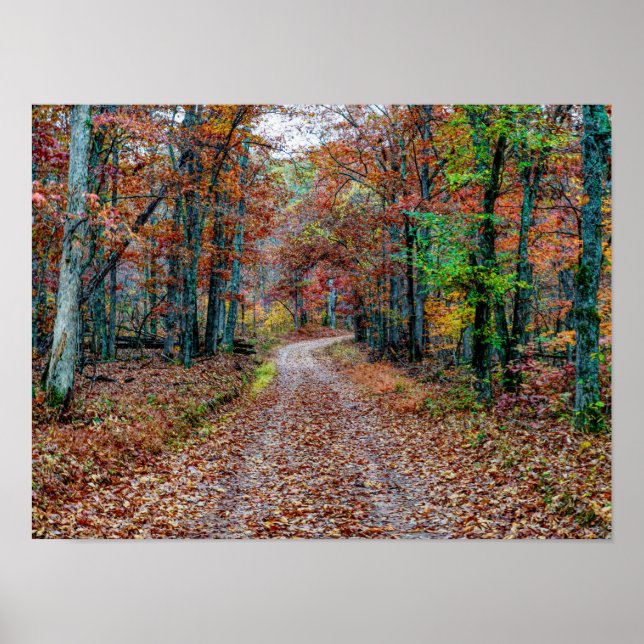 Auf dem Weg der Schuld Poster (Vorne)
