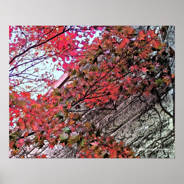 AUF DEM WEG DURCH CRIMSON LEAVES/DIG.EFFEC POSTER (Vorne)