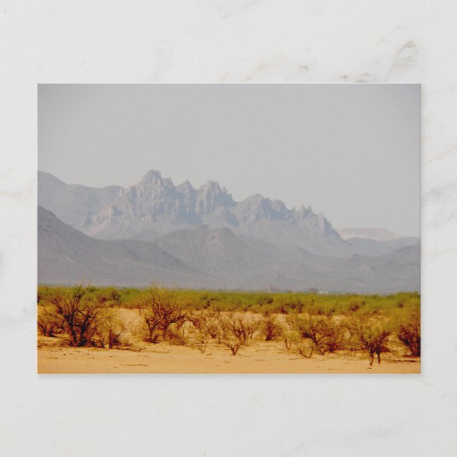 auf dem Weg nach Lordsburg, NM Postkarte (Vorderseite)