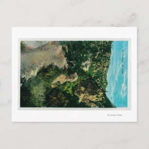 Auf dem Weg, Pferderücken am Berg Lowe Postkarte