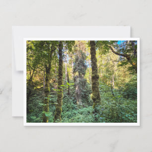 Auf dem Weg Postkarte