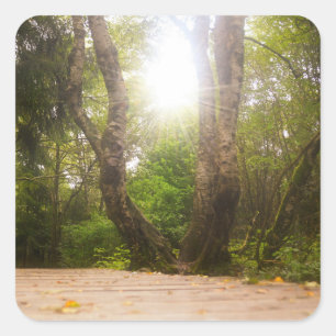 Auf dem Weg... Quadratischer Aufkleber