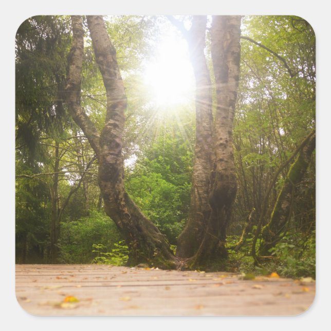 Auf dem Weg... Quadratischer Aufkleber (Vorderseite)