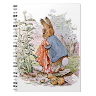 Auf dem Weg schlug Zuhause Peter die meisten Onion Notizblock