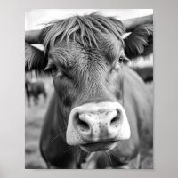 Auf dem Weg zur Ranch Kuh Schwarz-Weiß Poster