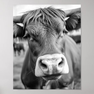 Auf dem Weg zur Ranch Kuh Schwarz-Weiß Poster