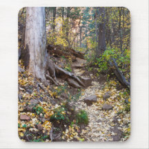 Auf dem West Fork Weg