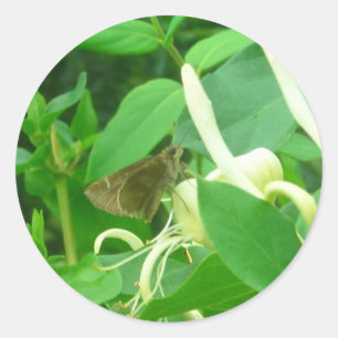 Auf den Aufklebern für Honeysuckle Runder Aufkleber